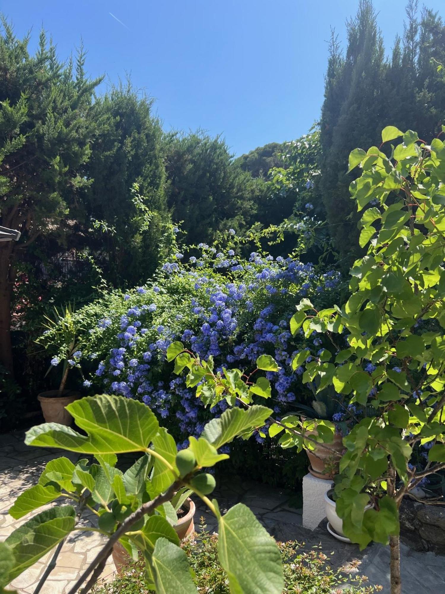 Superbe Appartement Avec Terrasse Jardin Et Parking Prive Saint-Tropez Eksteriør bilde